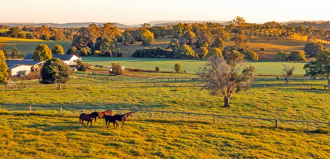 Rural Retreats: Escaping the Hustle and Bustle in Tranquil Countryside