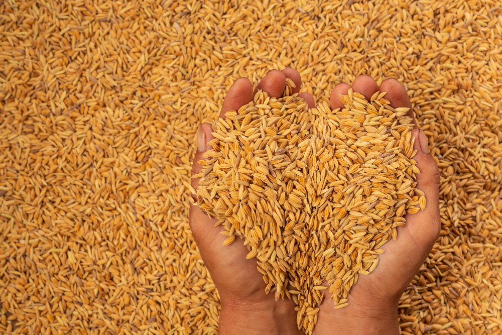 The Wonders of Long Grain Brown Rice