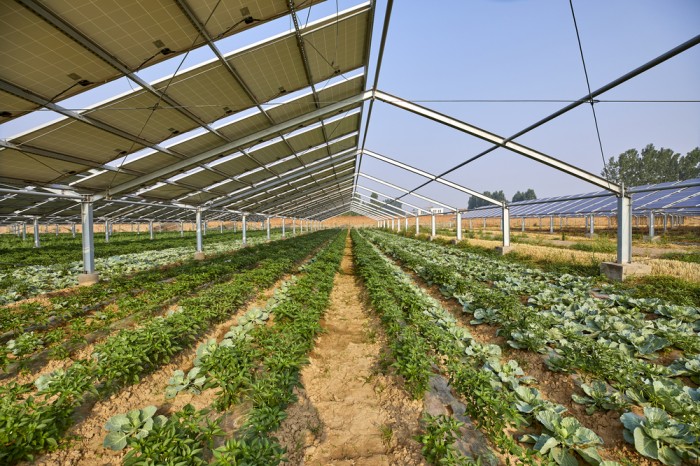 Agriculture Solar System: A Comprehensive Examination of Costs and Benefits