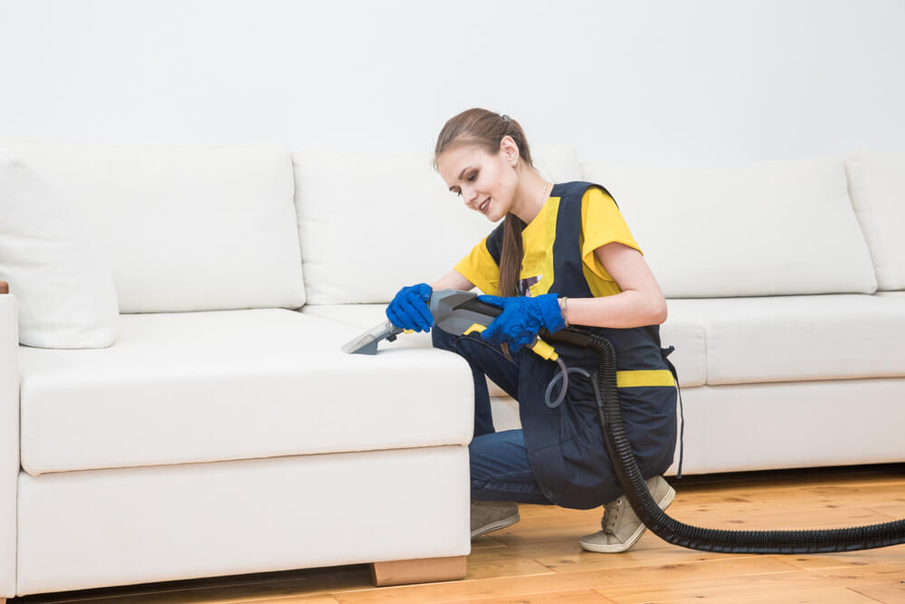 What Makes Abbotsford Sofa Cleaning Services Stand Out: Key Features to Look For