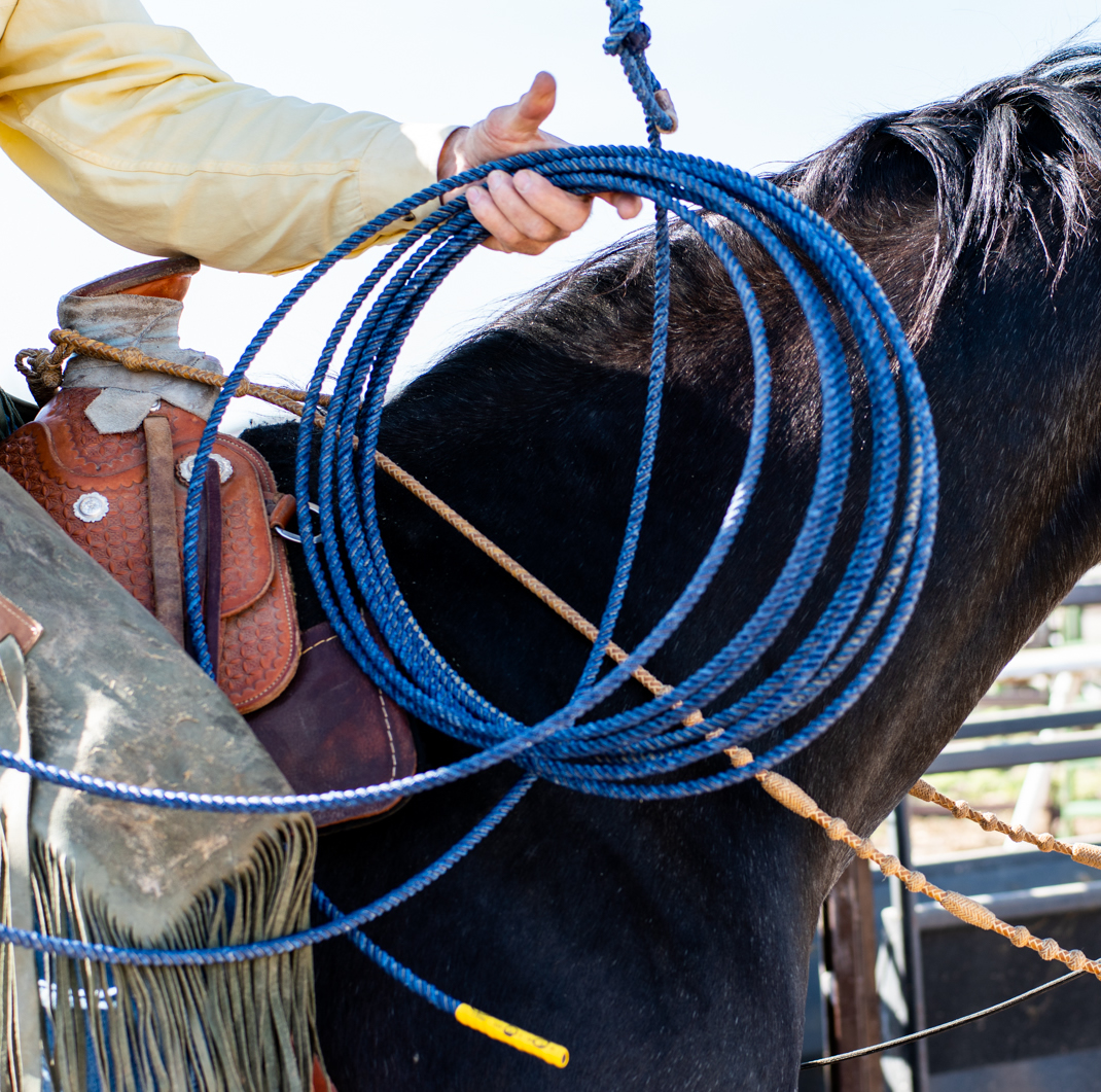 Ranch Ropes for Sale What You Need to Know Before You Buy