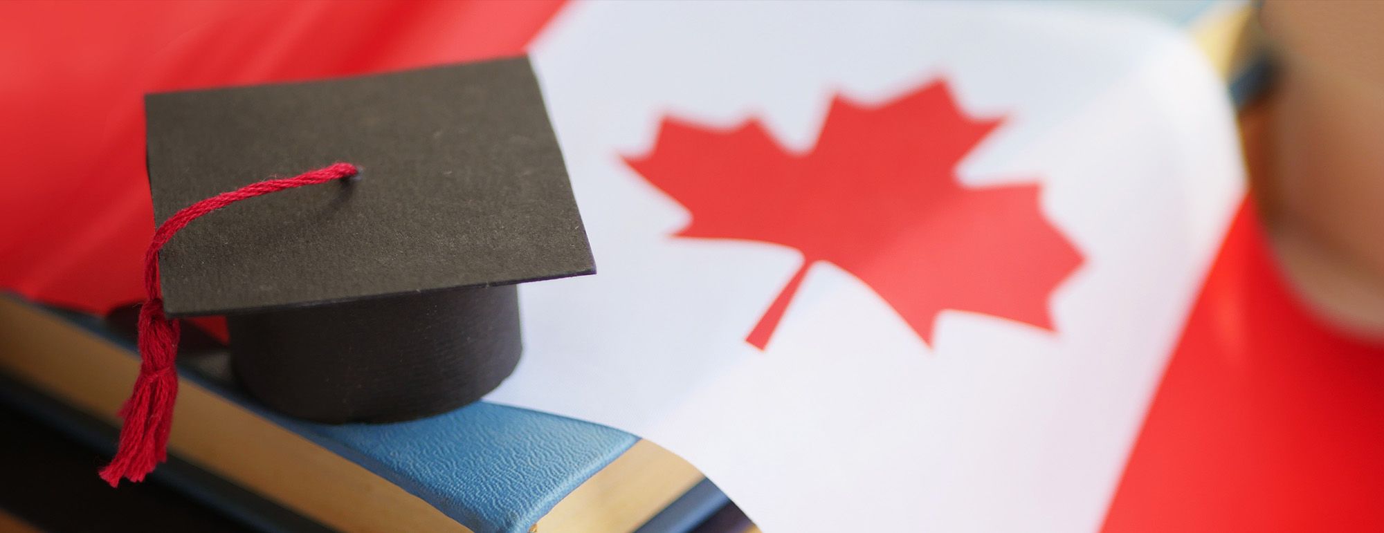 Why Do Students Prefer To Go To Canada To Study Abroad