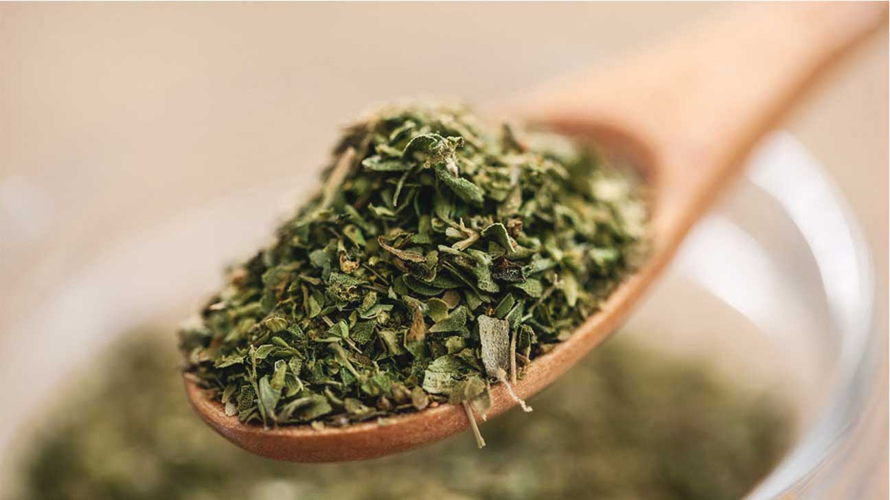 6 Science-Based Health Benefits of Oregano