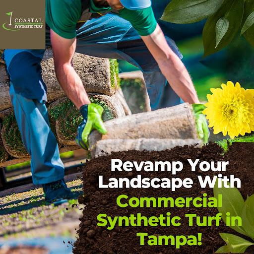 Transform Your Landscape with Tampa Turf Design | Expert Services