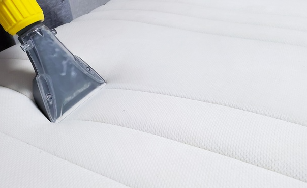 DIY Upholstery Cleaning: Effective Methods for Agnes Banks Residents