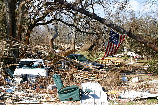 Responding to Nature’s Call: The Vital Role of Emergency Tree Services