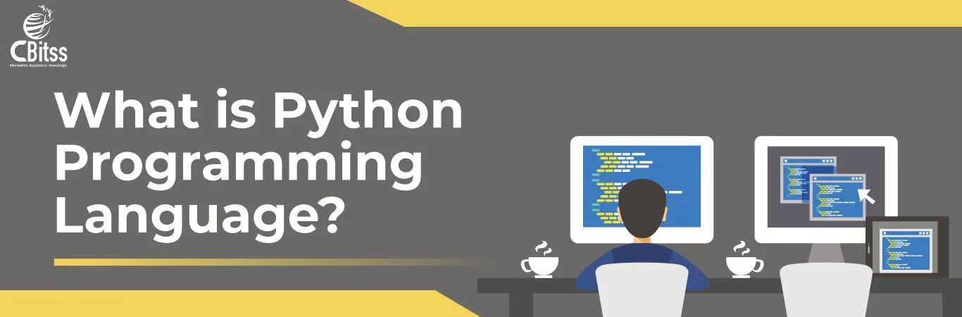 What is python programming?