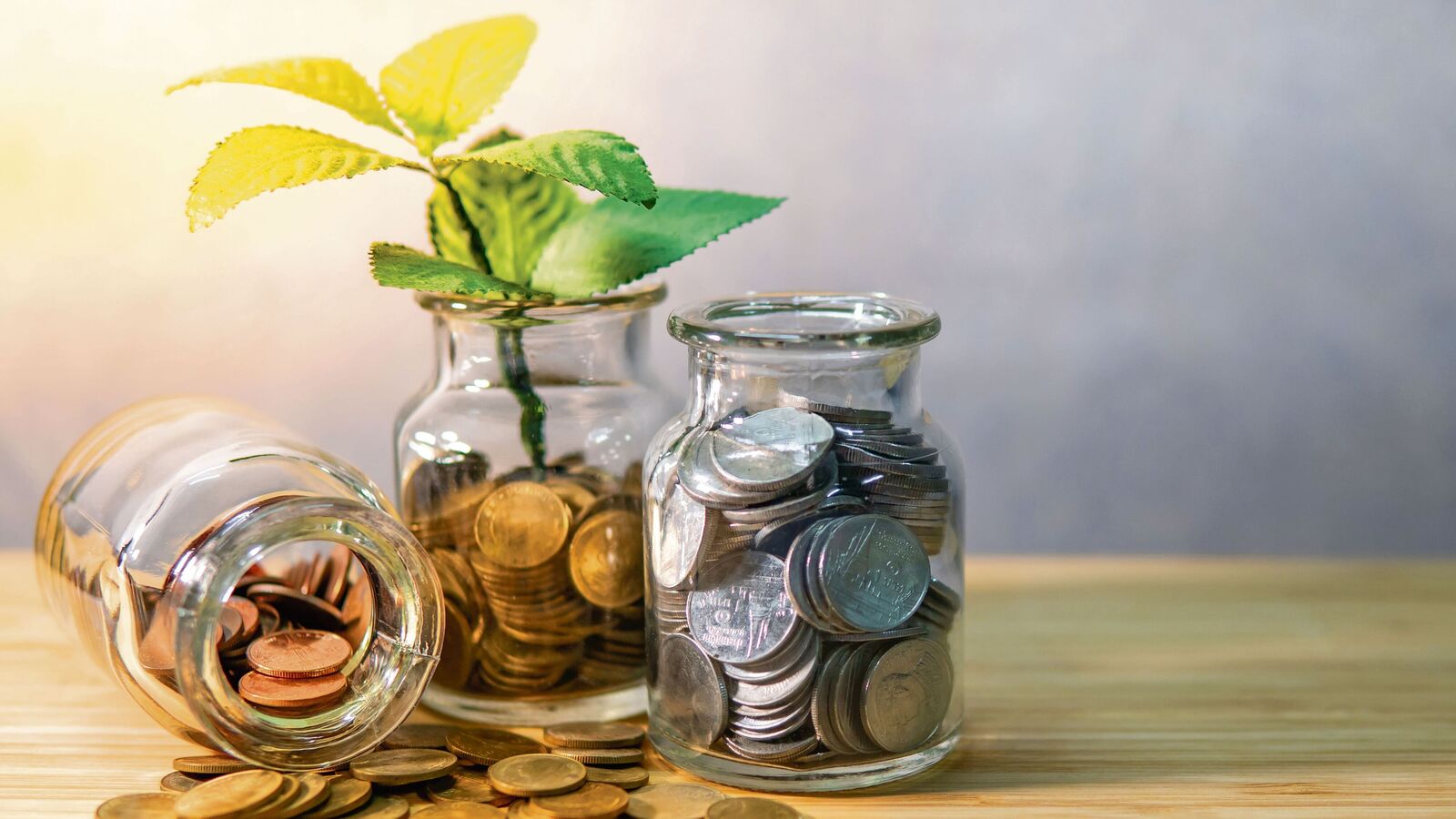 Retirement Planning: Ensuring Stability and Wellness in Your Golden Years